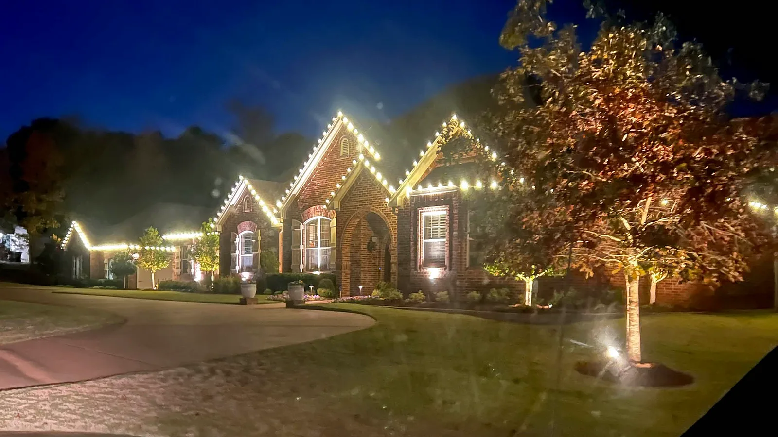Tree & Shrub Lighting